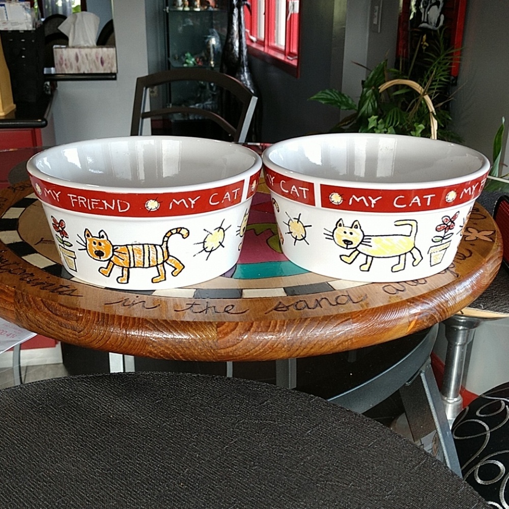 2 Cat bowls Room Creative - Color Me Happy